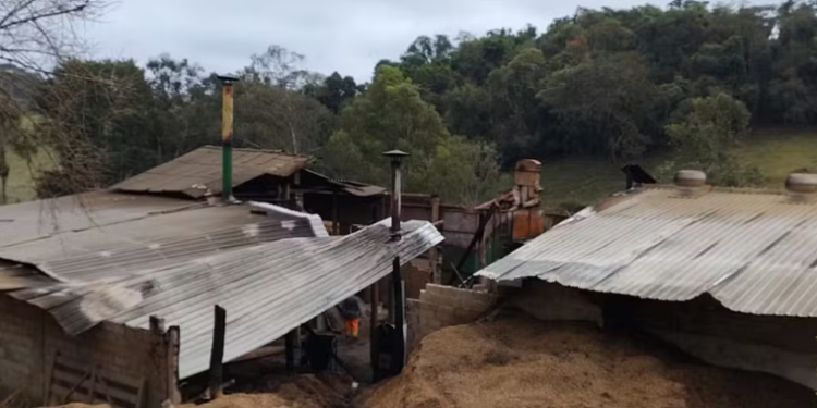 Incêndio destrói galpão e queima cerca de 40 sacas de café em propriedade rural