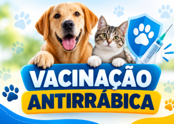Vacinação antirrábica para cães e gatos acontece no final de semana em Carmo do Rio Claro