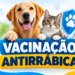 Vacinação antirrábica para cães e gatos acontece no final de semana em Carmo do Rio Claro