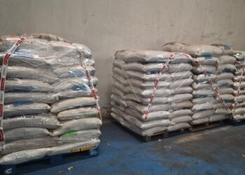 Beneficiadora de arroz é interditada e 29 toneladas de produtos impróprios são apreendidas em operação do Procon-MPMG