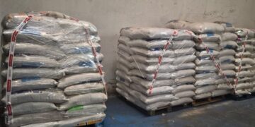 Beneficiadora de arroz é interditada e 29 toneladas de produtos impróprios são apreendidas em operação do Procon-MPMG