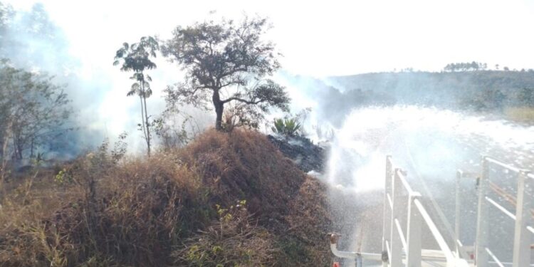 Ações preventivas e tecnologia reduzem em 47% os focos de incêndio nas rodovias do Sul de Minas