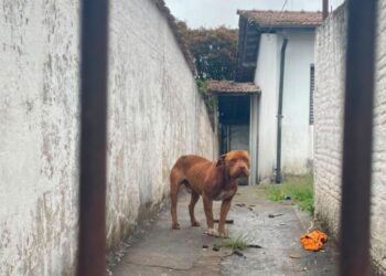 Foto: Onda Poços
