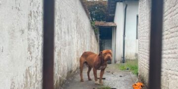 Foto: Onda Poços