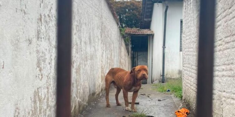 Foto: Onda Poços