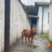 Foto: Onda Poços