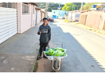 VÍDEO: Jovem de 13 anos vira inspiração ao vender verduras e encantar carmelitanos