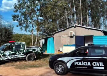 Abatedouro clandestino é interditado e dois homens são detidos durante ação da Polícia Civil e GCM em Boa Esperança