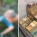 Operação Gargântua prende 10 suspeitos e mira grupo investigado por tortura e extorsão em Minas