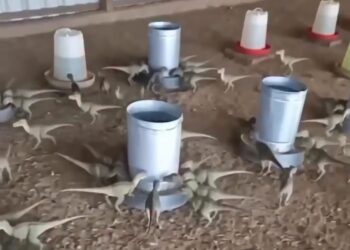 Homem quase perde R$ 500 em golpe com anúncio de “mini dinossauros” feitos por IA