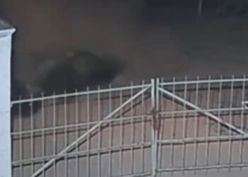 VÍDEO: Motorista sem CNH fica ferido após carro capotar na zona rural de Nova Resende