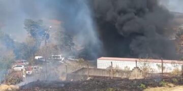Incêndio atinge 21 veículos em pátio credenciado do Detran