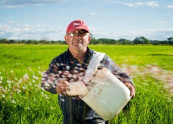 Produtores ganham prazo até novembro para regularizar dívidas do crédito rural
