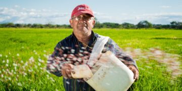 Produtores ganham prazo até novembro para regularizar dívidas do crédito rural