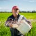 Produtores ganham prazo até novembro para regularizar dívidas do crédito rural