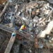 Foto: Reprodução /G1/ EPTV
