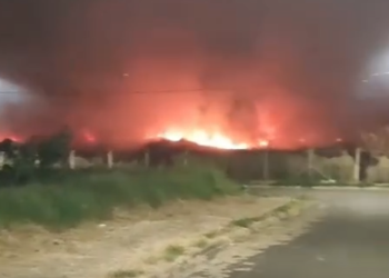 VÍDEO: Fogo em vegetação ameaça casas e motoristas na MG-050, em Passos