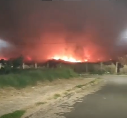 VÍDEO: Fogo em vegetação ameaça casas e motoristas na MG-050, em Passos