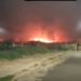 VÍDEO: Fogo em vegetação ameaça casas e motoristas na MG-050, em Passos