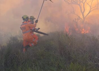 VÍDEO | Incêndio em vegetação mobiliza Corpo de Bombeiros em Alfenas