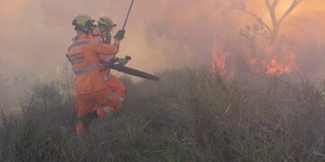 VÍDEO | Incêndio em vegetação mobiliza Corpo de Bombeiros em Alfenas
