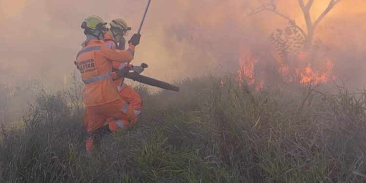 VÍDEO | Incêndio em vegetação mobiliza Corpo de Bombeiros em Alfenas