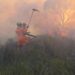 VÍDEO | Incêndio em vegetação mobiliza Corpo de Bombeiros em Alfenas