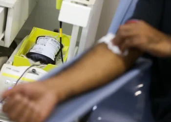 Novas regras para doação de sangue reduzem prazo após tatuagem e estabelecem critérios para uso de canetas emagrecedoras