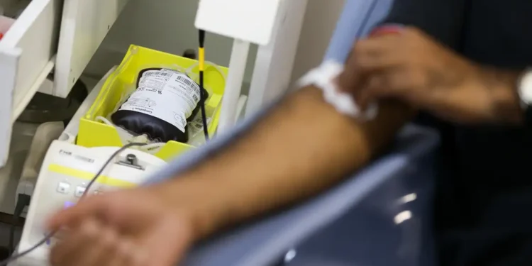 Novas regras para doação de sangue reduzem prazo após tatuagem e estabelecem critérios para uso de canetas emagrecedoras