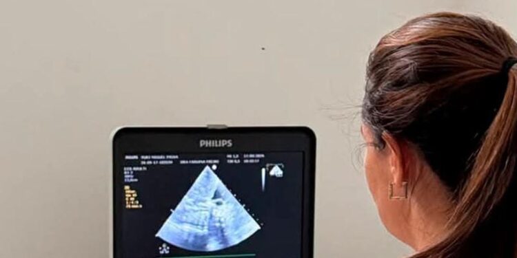 Carmo do Rio Claro realiza mutirão de cardiopediatria com 45 atendimentos