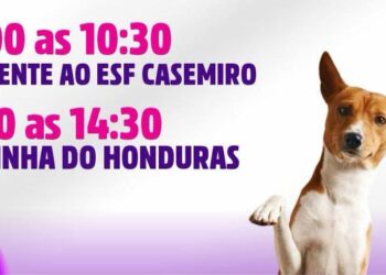 Campanha de vacinação antirrábica atende cães e gatos em bairros de Carmo do Rio Claro neste sábado