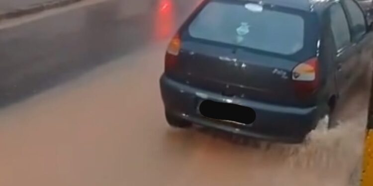 VÍDEO: Chuva forte provoca quedas de árvores e danos em rodovias e vias do Sul de Minas