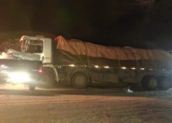 Pai e filho morrem após acidente entre caminhão e caminhonete na MGC-267