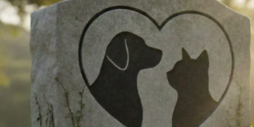 Câmara de Guaxupé aprova sepultamento de animais domésticos em jazigos de familiares