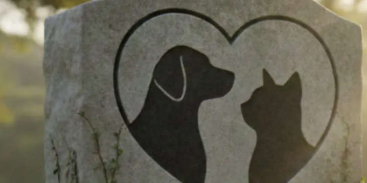 Câmara de Guaxupé aprova sepultamento de animais domésticos em jazigos de familiares