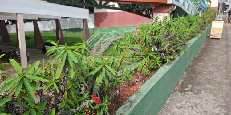 Gestante de Carmo do Rio Claro perde pasta com ultrassom, exames e documentos e pede ajuda