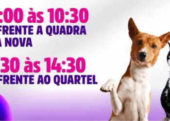 Campanha de vacinação antirrábica atende cães e gatos neste sábado em Carmo do Rio Claro