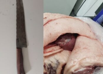 Três homens são presos por caça ilegal na zona rural de Cássia