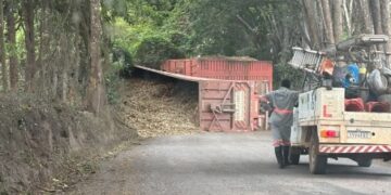 Caminhão bitrem tomba e interdita estrada em Delfinópolis (MG)
