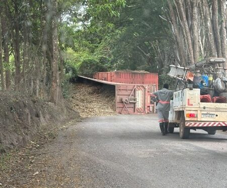 Caminhão bitrem tomba e interdita estrada em Delfinópolis (MG)