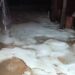 VÍDEO | Temporal provoca chuva de granizo em bairros de Nova Resende (MG)