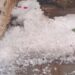 VÍDEO: Chuva de granizo provoca danos e deixa ruas cobertas de gelo no Sul de Minas
