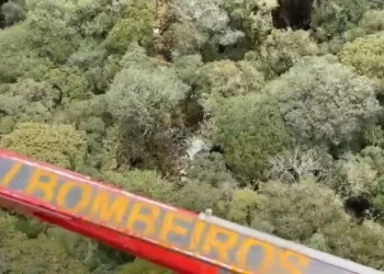 Cenipa investiga queda de helicóptero que matou cantor Rick e outras quatro pessoas em SC