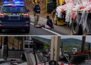 Caminhoneiro é preso após destruir cabine de pedágio e tentar fugir na Fernão Dias
