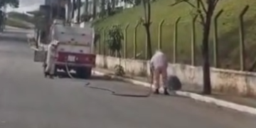 VÍDEO: Idoso é atacado por abelhas e sofre mais de 200 picadas