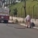 VÍDEO: Idoso é atacado por abelhas e sofre mais de 200 picadas