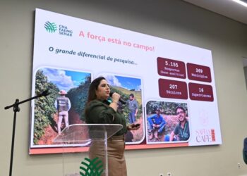 Safra de café em Minas Gerais deve alcançar 33,4 milhões de sacas em 2026 