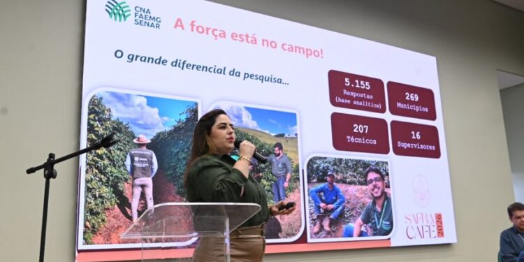 Safra de café em Minas Gerais deve alcançar 33,4 milhões de sacas em 2026 