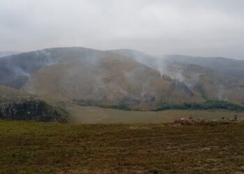 Brigadistas controlam incêndio de grandes proporções na Serra da Canastra