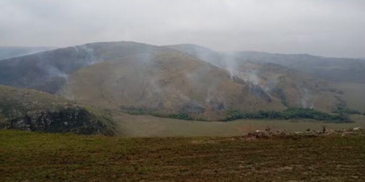 Brigadistas controlam incêndio de grandes proporções na Serra da Canastra